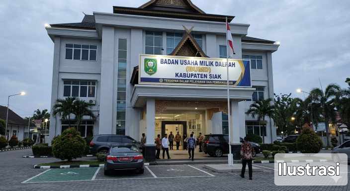 Bukan Kompetensi tapi Kepatuhan: Menggugat Gurita “Asal Ibu Senang” di BUMD Siak